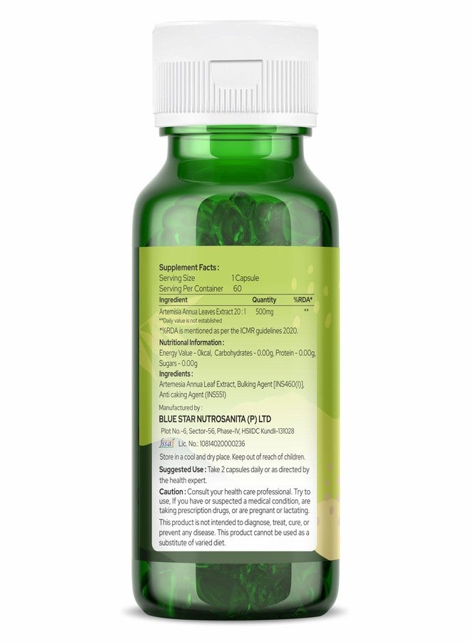 ORGANIC ZING كبسولات أرتيميسينين العضوية من أورجانيك زينج - 60 كبسولة، 500 ملغ - مستخلص نباتي وخالٍ من الغلوتين لدعم المناعة والصحة العامة من أرتيميسيا أنوال - Image 2
